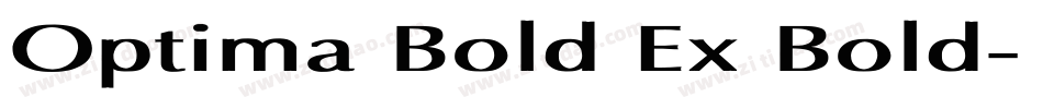 Optima Bold Ex Bold字体转换